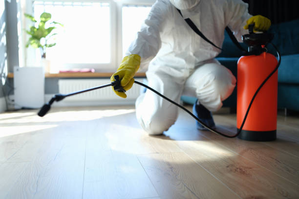 Reliable Odor Removal contractor in Forest Park, GA by Trauma Clean Pros